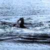IMG_7473-2 - Copy