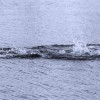 IMG_7470-3